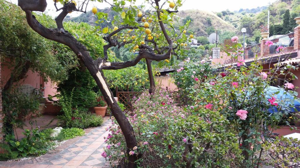 Villa Carmelas Taormina Eksteriør bilde