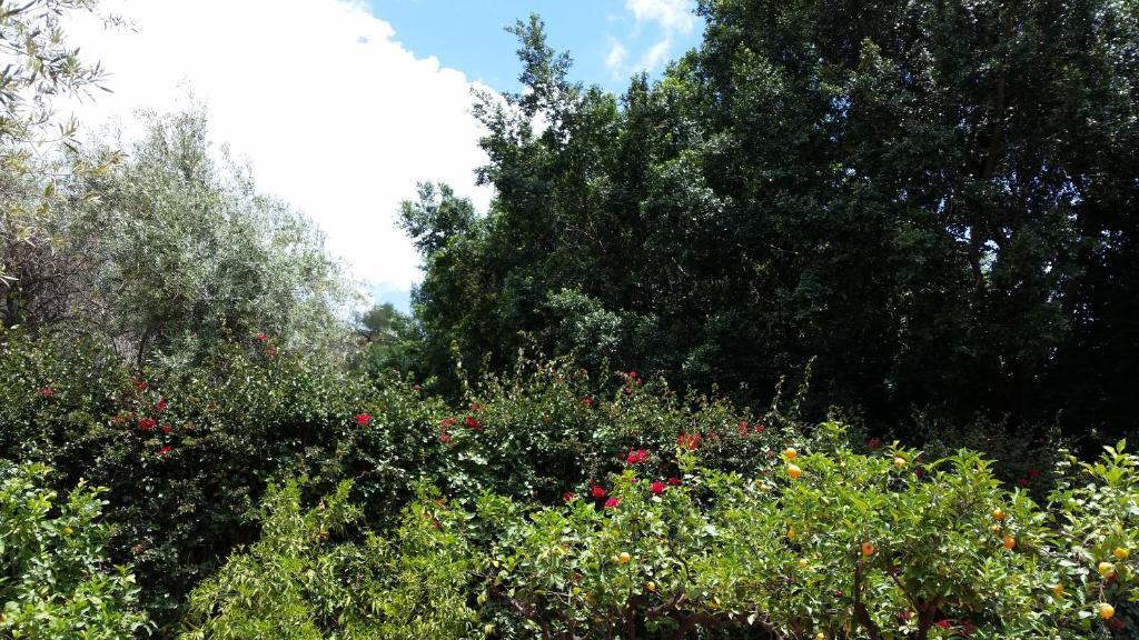 Villa Carmelas Taormina Eksteriør bilde